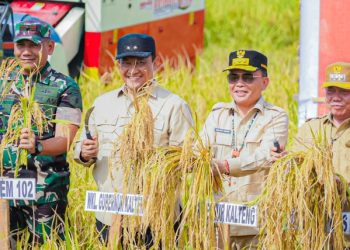Gubernur Kalteng Siap Bangun Jalan Strategis di Terusan Makmur, Dukung Ketahanan Pangan Nasional
