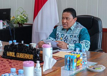 Wagub Kalteng Buka Entry Meeting Evaluasi Stunting 2025