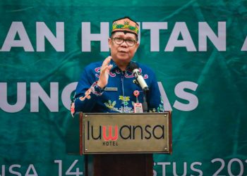Pemprov Kalteng dan DAD Bersinergi Lestarikan 68.324 Hektare Hutan Adat Gunung Mas