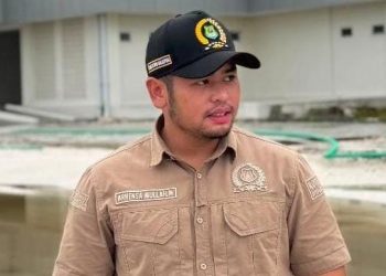 Anggota DPRD Kapuas Arhensa Mullah Perjuangkan TPP PPPK