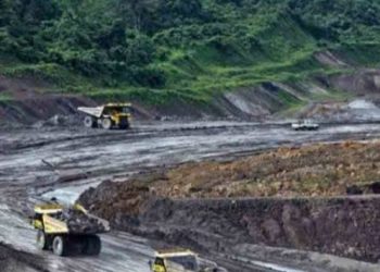 Pemkab Barut dan Barsel bahas klaim lahan tambang di wilayah PT MUTU