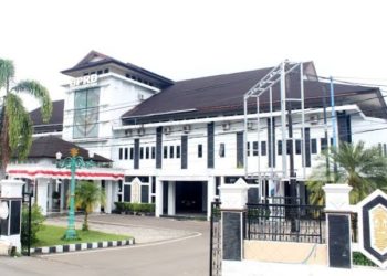 Pemkab Barut tingkatkan kapasitas BUMDes dan BUMDesma untuk pengembangan usaha