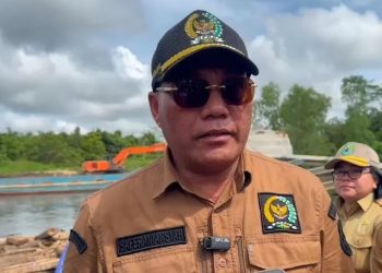 Anggota DPRD Kapuas Bangun Titian Sementara untuk Warga RW 10 Panamas