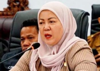 DPRD Barut bahas pemasangan KWH listrik di Desa Karamuan
