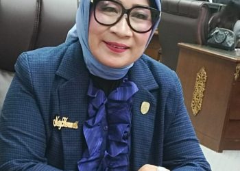 Ketua Komisi I DPRD Barut apresiasi Hildayanti wakili Kalteng di GBN