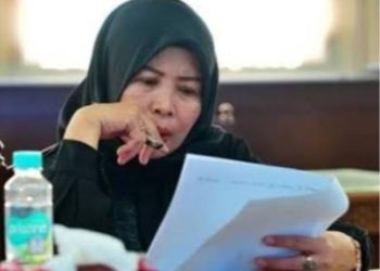 DPRD Kalteng minta pemerintah optimalisasi PAD dari sektor pertambangan