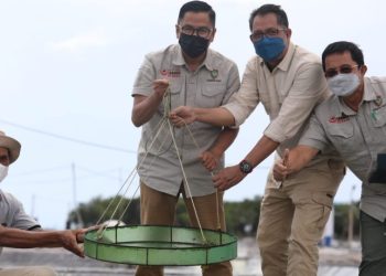 Penegasan Batas Wilayah Kelurahan Lanjas Kunci Tertib Administrasi dan Pembangunan