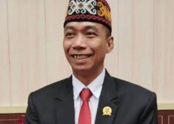 DPRD Kalteng bersama Kementerian ESDM segera bahas penghentian tambang