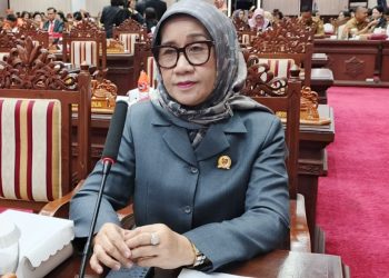 DPRD Kalteng tegaskan raperda pertambangan bukan hanya soal IPR