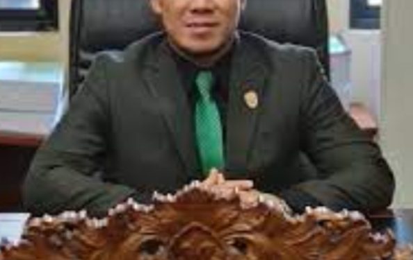 Anggota Fraksi PKB DPRD Barut Apresiasi Terkait Pembahasan Raperda APBD
