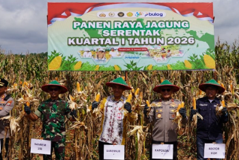 Polda Kalsel Panen Raya Jagung Serentak Kuartal I Tahun 2026 di Desa Ambungan