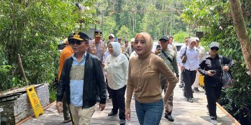 Gubernur Kalteng Tinjau Kawasan Wisata Tanjung Puting di Kobar