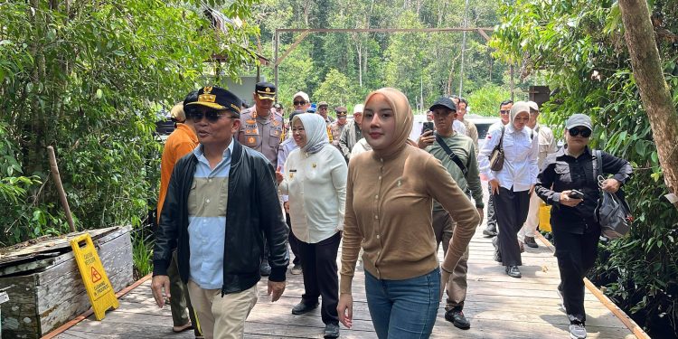 Gubernur Kalteng Tinjau Kawasan Wisata Tanjung Puting di Kobar