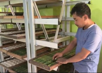 UMKM Buntok Ambil Peran Strategis dalam Program Makan Bergizi Gratis