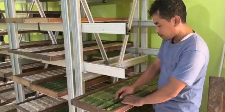 UMKM Buntok Ambil Peran Strategis dalam Program Makan Bergizi Gratis