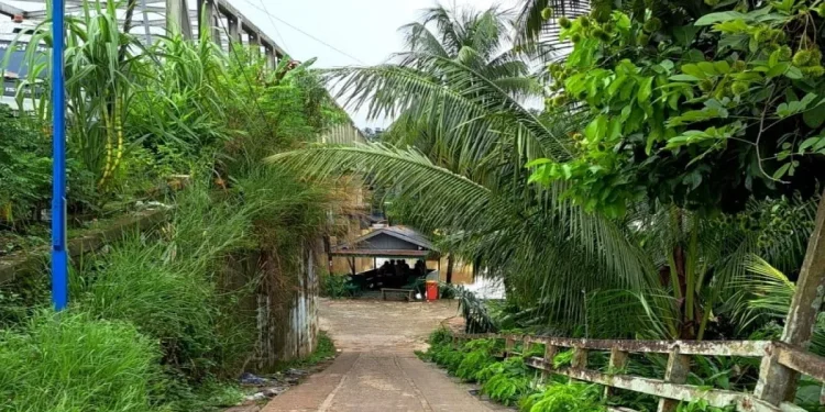 DPRD Barito Utara Dukung Pelebaran Jalan Akses Jembatan Sei Tewei untuk Tingkatkan Konektivitas Warga