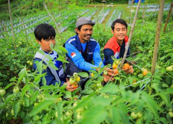 Edi Mangun: Seluruh Program TJSL Dirancang Menciptakan Manfaat Berkelanjutan