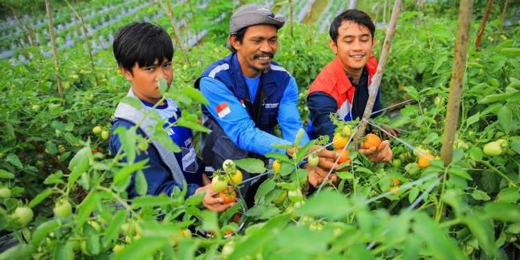 Edi Mangun: Seluruh Program TJSL Dirancang Menciptakan Manfaat Berkelanjutan