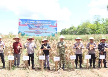 Wakapolda Golkar Pangarso Raharjo Optimis Potensi Pertanian di Kabupaten Tanah Laut
