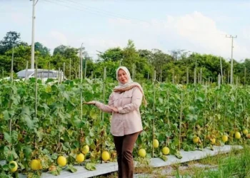 Warga Binaan Lapas Muara Teweh Didorong Lebih Produktif Lewat Pelatihan Kerja