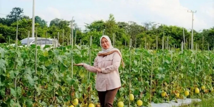 Warga Binaan Lapas Muara Teweh Didorong Lebih Produktif Lewat Pelatihan Kerja