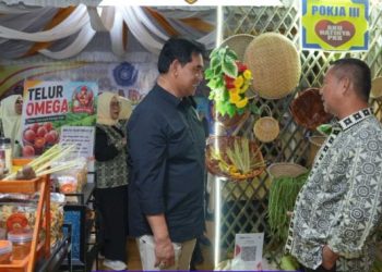Bupati Barito Utara dan Forkopimda Tinjau Batara Expo di Eks Bandara Beringin
