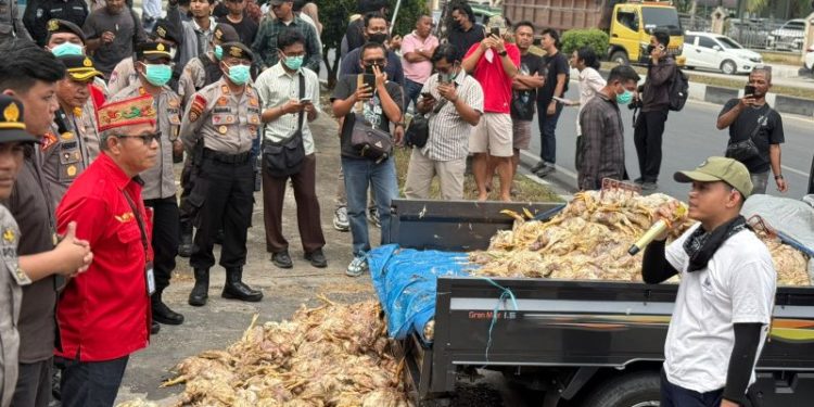 Protes Pemadaman Listrik, Massa Tumpahkan Bangkai Ayam di Kantor PLN Palangka Raya