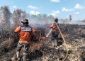 Ancaman Karhutla Meningkat, BPB-PK Kalteng Gencarkan Deteksi Dini