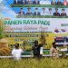 Pangdam XXII/Tambun Bungai Hadiri Peresmian Waterfront City dan Panen Raya Padi di Kabupaten Kapuas