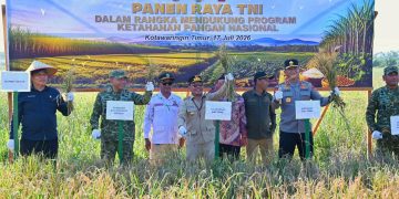 Panen Raya Serentak di Kotim, Gubernur Tegaskan Komitmen Dukung Swasembada Pangan
