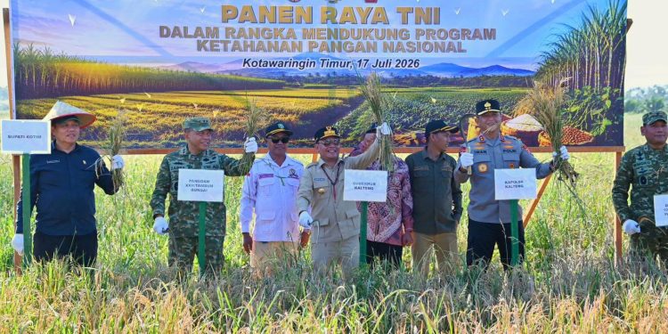 Panen Raya Serentak di Kotim, Gubernur Tegaskan Komitmen Dukung Swasembada Pangan