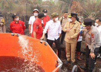 Menhut Raja Juli Tinjau Karhutla di Petuk Katimpun, Tekankan Pencegahan dan Penegakan Hukum