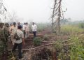 Presiden Prabowo Turun Langsung ke Palangka Raya, Penanganan Karhutla Kalteng Diperkuat