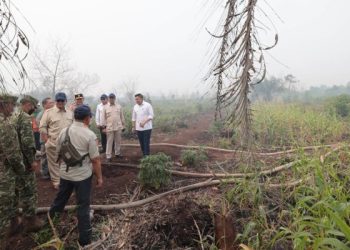 Presiden Prabowo Turun Langsung ke Palangka Raya, Penanganan Karhutla Kalteng Diperkuat