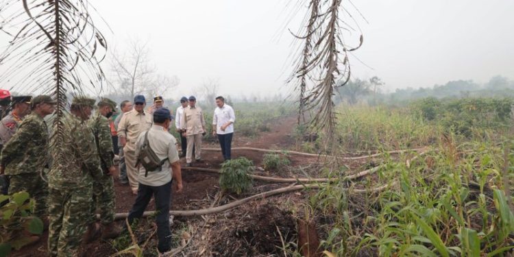 Presiden Prabowo Turun Langsung ke Palangka Raya, Penanganan Karhutla Kalteng Diperkuat