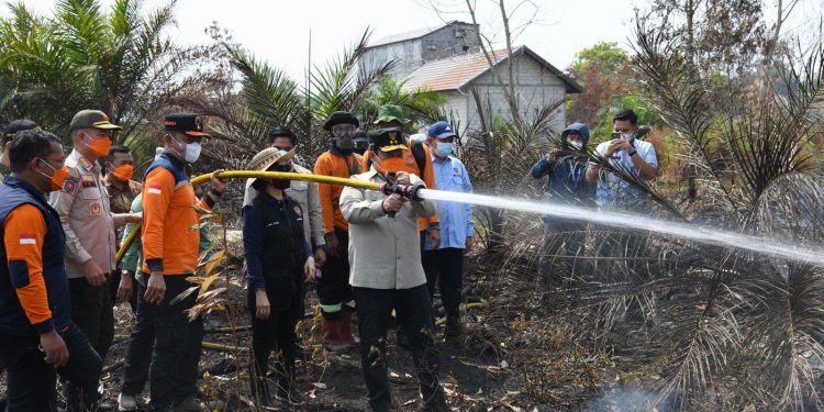 Karhutla Meluas, Wagub Edy Pratowo Turun ke Lapangan Pantau Pemadaman