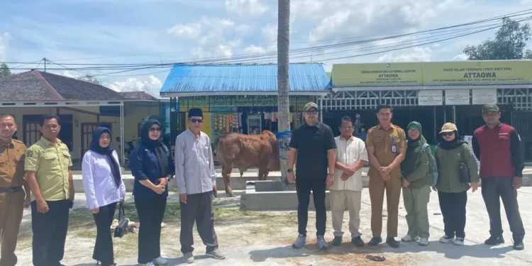 Anggota DPRD Kalteng Dapil V Tinjau Penyaluran Hewan Kurban di Kuala Kapuas