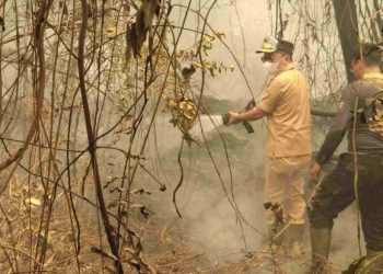 Gubernur Agustiar Sabran Turun Langsung Padamkan Karhutla di Km 17 Palangka Raya