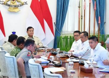 Presiden Prabowo Fokuskan Penanganan Karhutla di Kalteng dan Sumatra Selatan