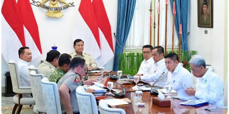 Presiden Prabowo Fokuskan Penanganan Karhutla di Kalteng dan Sumatra Selatan